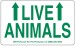 Roll of 1,000 Live Animal Label w/arrows