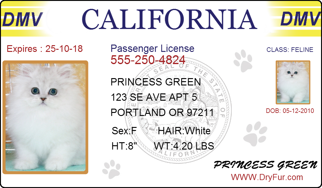 pet-drivers-license2.png
