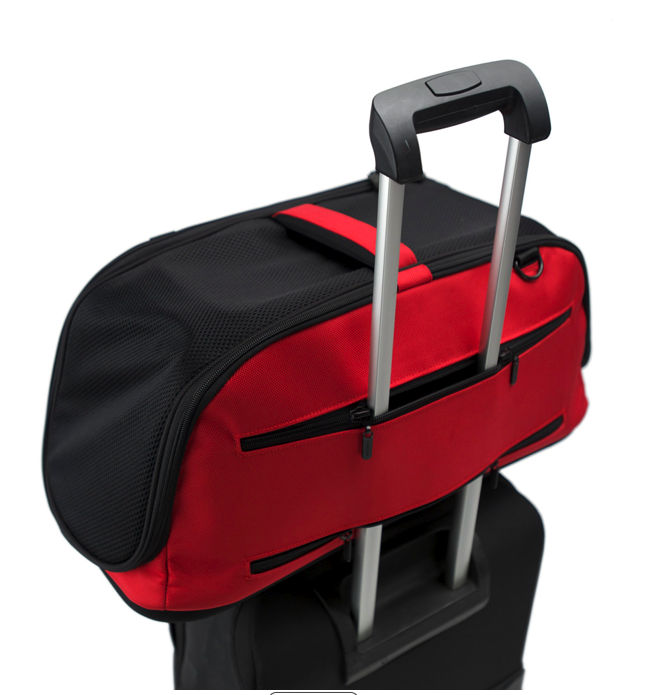 Airline Pet Carrier Bags Safety Features  Details  DryFur  Pet Airline  Travel Supplies